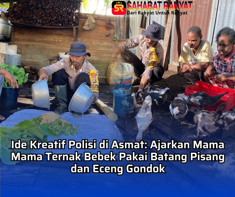 Ide Kreatif Polisi di Asmat: Ajarkan Mama Mama Ternak Bebek Pakai Batang Pisang dan Eceng Gondok