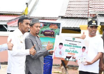 Pemkot Tual Tebar Kebaikan Iduladha 1446 H: 39 Hewan Kurban Ringankan Beban Warga