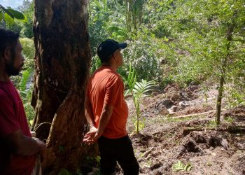 Waspada Longsor, Wakil Walikota Tual Tinjau Lokasi Pergeseran Tanah dan Serahkan Bantuan Darurat