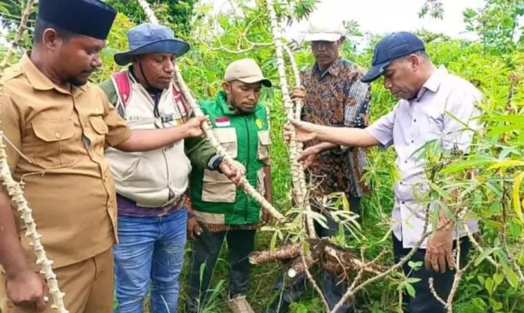 Wakil Walikota Tual Tinjau Potensi Pertanian di Pulau-pulau Kur, Dorong Penguatan Lumbung Pangan